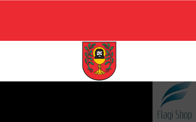 640px-POL_Łasin_flag.svg.png