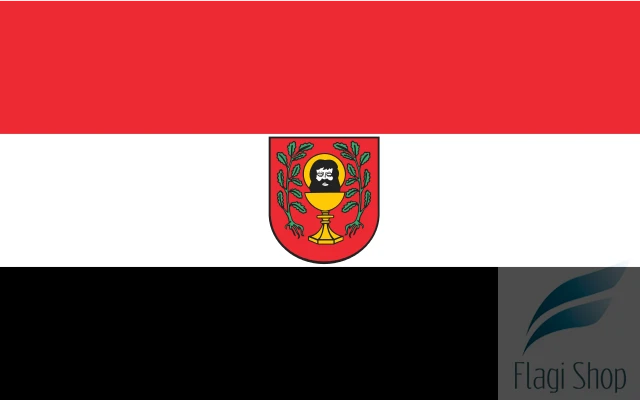 640px-POL_Łasin_flag.svg.png