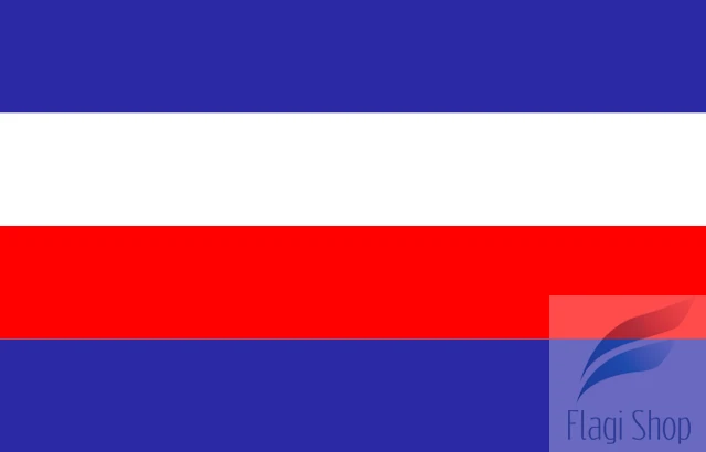 640px-POL_Rypin_flag.svg.png
