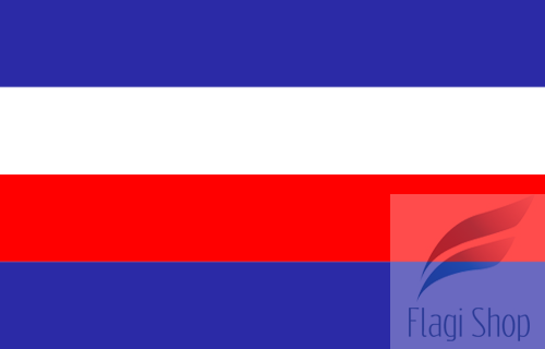 640px-POL_Rypin_flag.svg.png