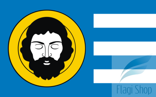 POL_Brzozów_flag.svg.png