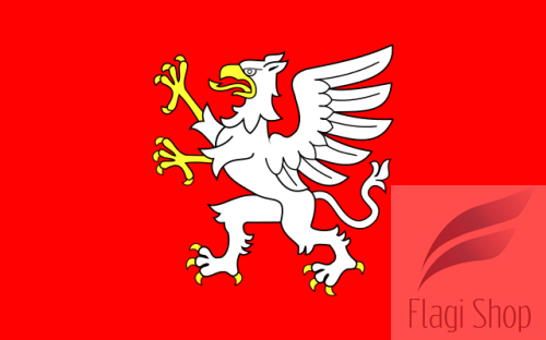 POL_Dębica_N_flag.svg.png