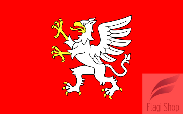 POL_Dębica_N_flag.svg.png