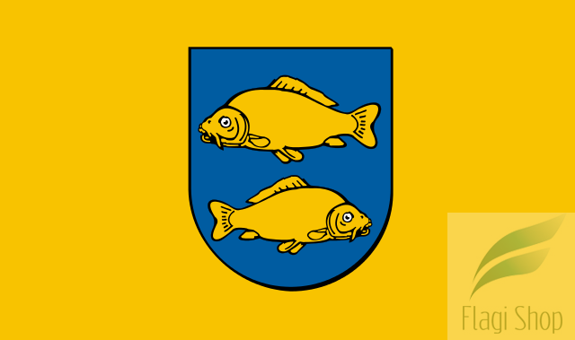 POL_Krasnystaw_flag.svg.png