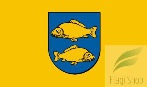 POL_Krasnystaw_flag.svg.png