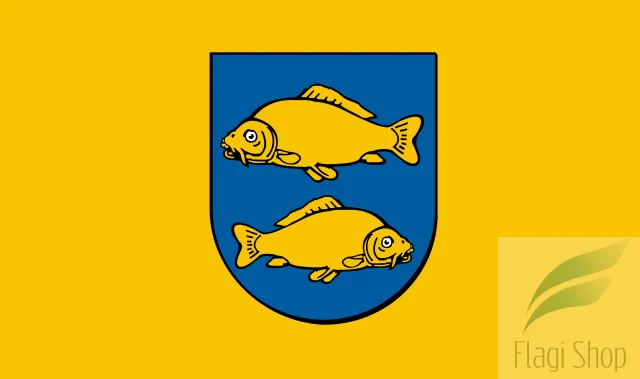 POL_Krasnystaw_flag.svg.png