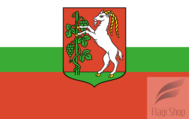 POL_Lublin_flag_1.svg.png