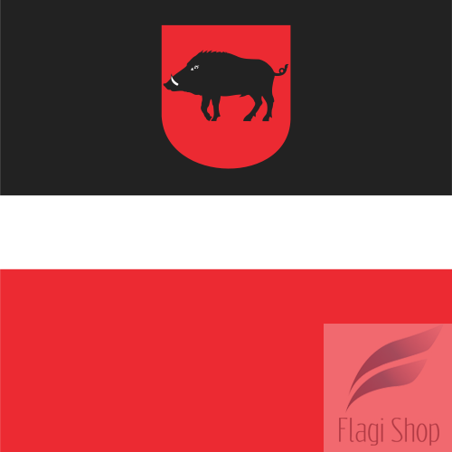 500px-POL_Łęczna_flag.svg.png
