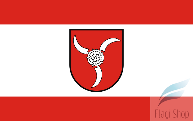 640px-POL_Modliborzyce_flag.svg.png