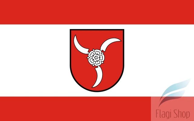 640px-POL_Modliborzyce_flag.svg.png
