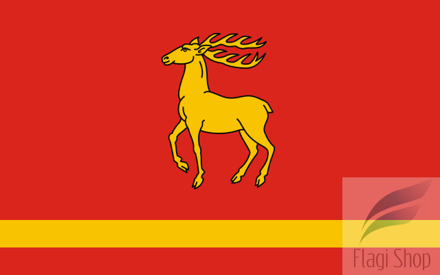 640px-POL_Parczew_flag.svg.png