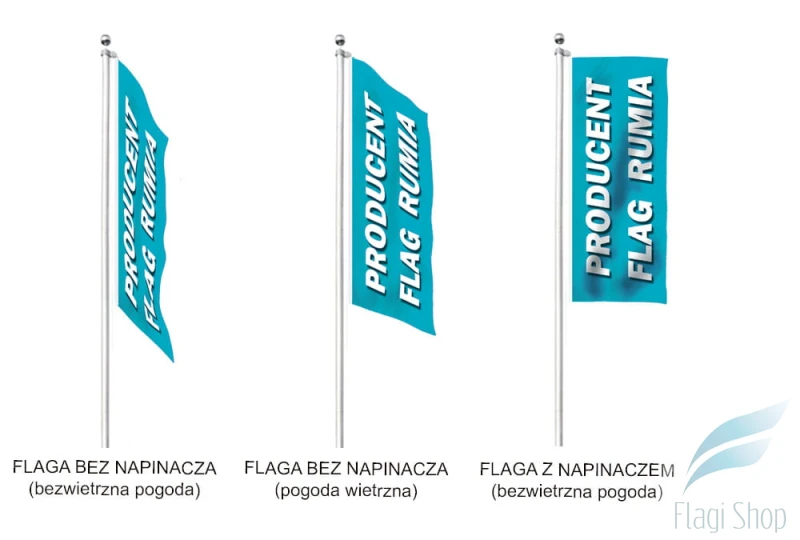 rodzaje flag 1 kopia.jpg 1.jpg