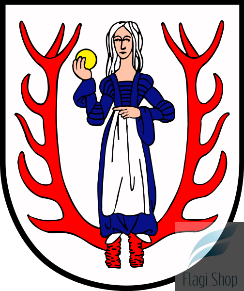 POL_Biały_Bór_COA.svg.png