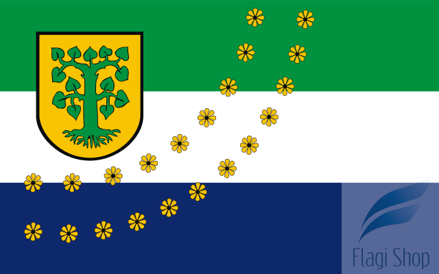 POL_Borne_Sulinowo_flag.svg.png