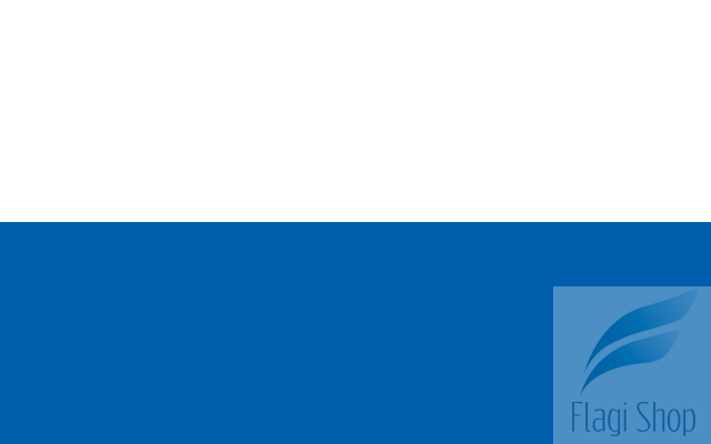 POL_Koszalin_flag.svg.png