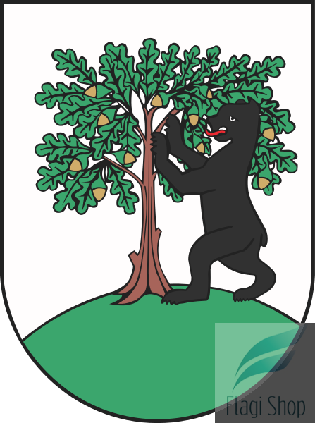POL_Pełczyce_COA.svg.png