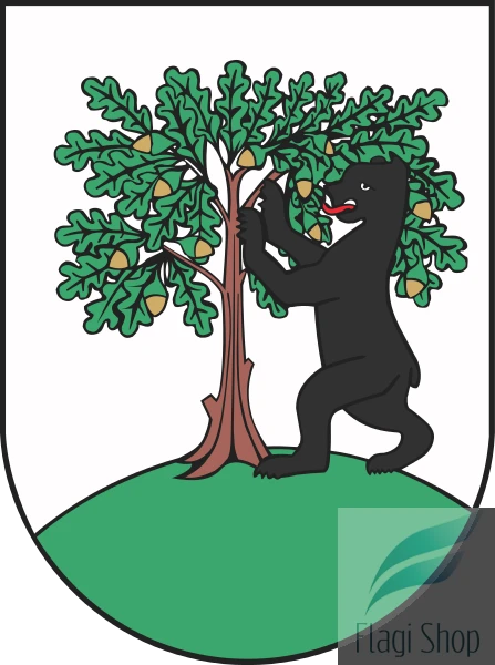 POL_Pełczyce_COA.svg.png