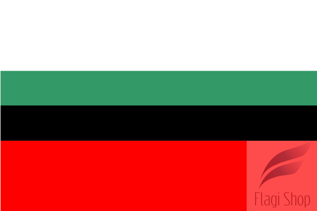 POL_Dąbrowa_Górnicza_flag.svg.png