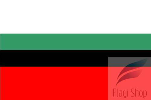 POL_Dąbrowa_Górnicza_flag.svg.png