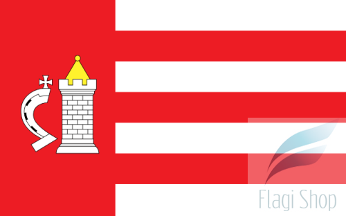 POL_Koniecpol_flag.svg.png