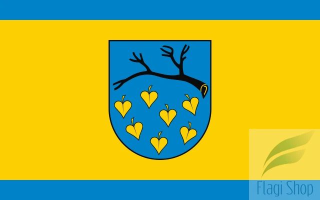 POL_Łaziska_Górne_flag.svg.png