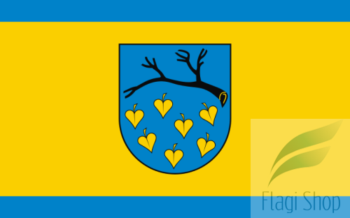 POL_Łaziska_Górne_flag.svg.png