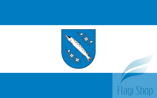 POL_Rybnik_flag.svg.png
