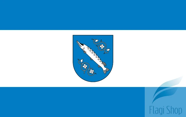 POL_Rybnik_flag.svg.png