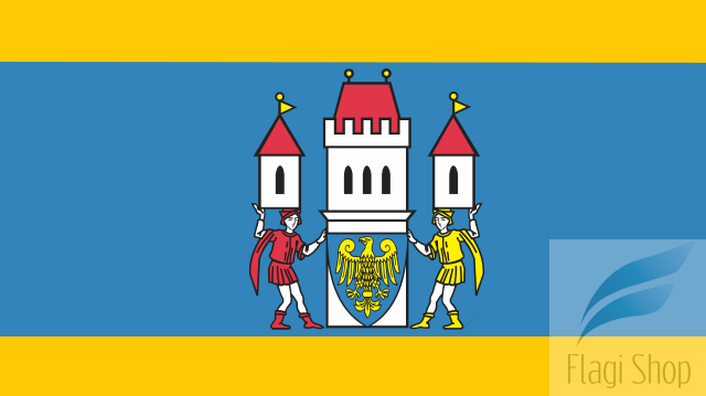 640px-POL_Skoczów_flag.svg.png