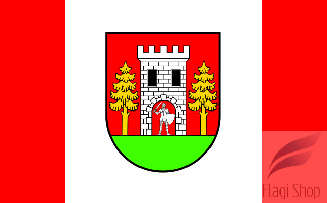 640px-POL_gmina_Wielbark_flag.svg.png
