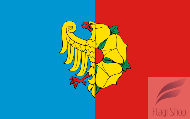 POL_Wodzisław_Śląski_flag.svg.png