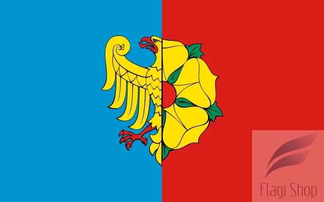 POL_Wodzisław_Śląski_flag.svg.png