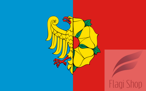 POL_Wodzisław_Śląski_flag.svg.png