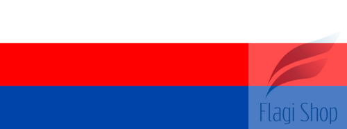 POL_Brzesko_flag.svg.png