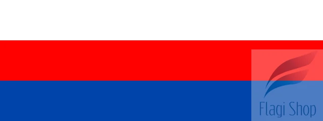 POL_Brzesko_flag.svg.png