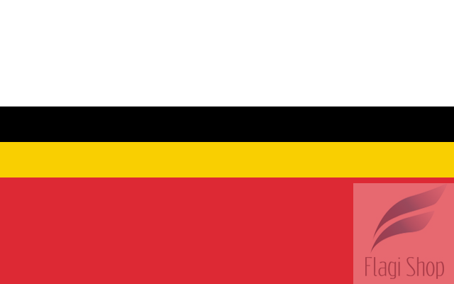 640px-POL_Skała_flag.svg.png