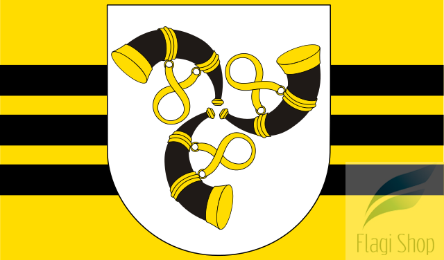 POL_gmina_Zakliczyn_flag.svg.png
