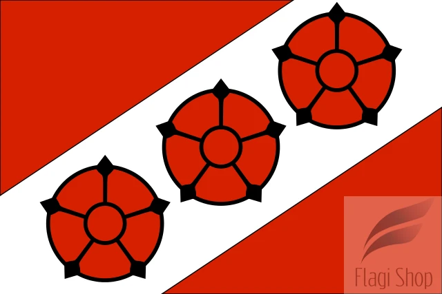 POL_Brzeg_Dolny_Flag.svg.png