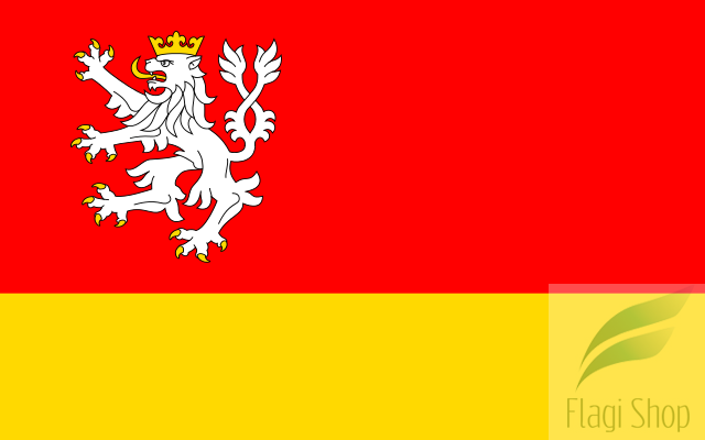 POL_Lądek-Zdrój_flag.svg.png