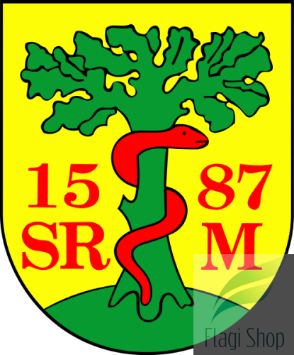 POL_gmina_Dubienka_COA.svg.png