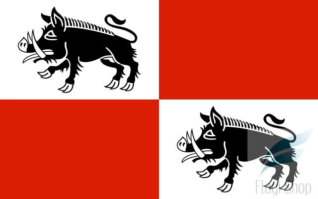 POL_Mieroszów_flag.svg.png