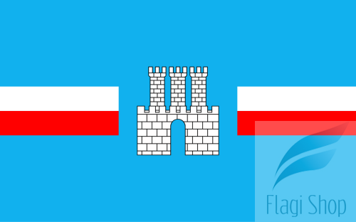 1280px-POL_Gostynin_flag.svg.png