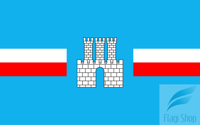 1280px-POL_Gostynin_flag.svg.png