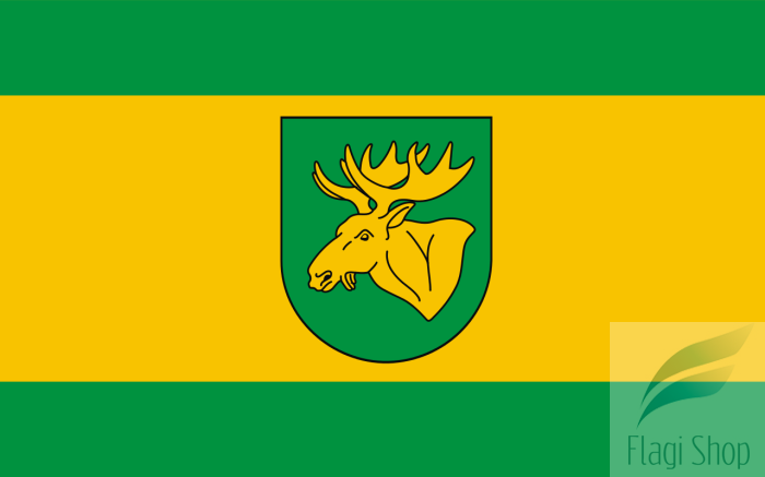 POL_Łochów_flag.svg.png