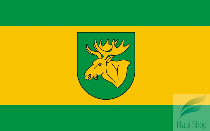 POL_Łochów_flag.svg.png