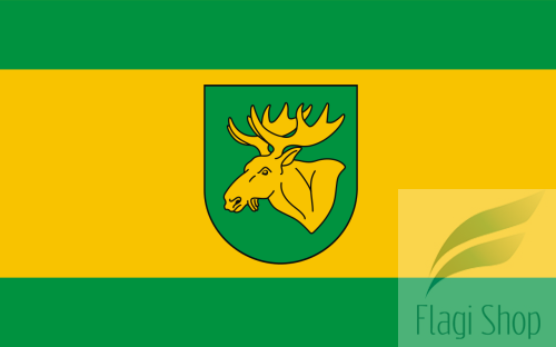 POL_Łochów_flag.svg.png