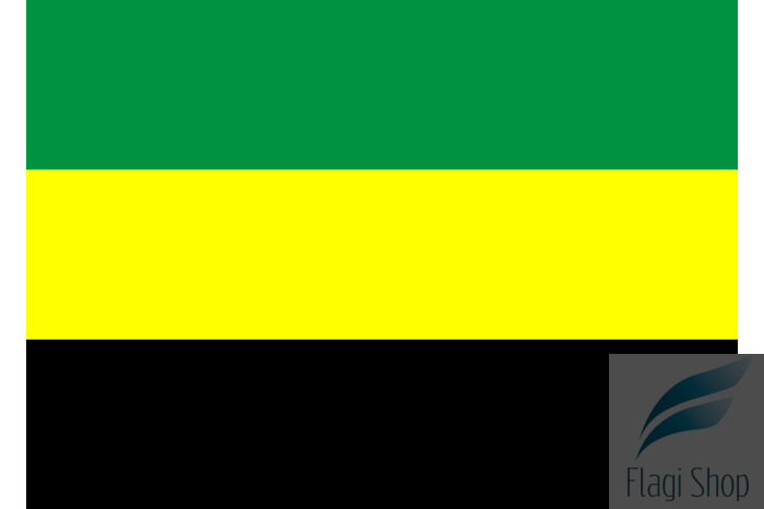 POL_Sokołów_Podlaski_flag.svg.png