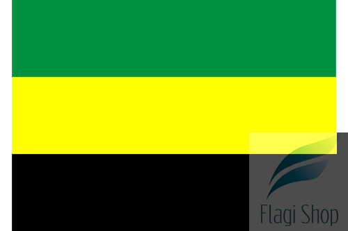POL_Sokołów_Podlaski_flag.svg.png