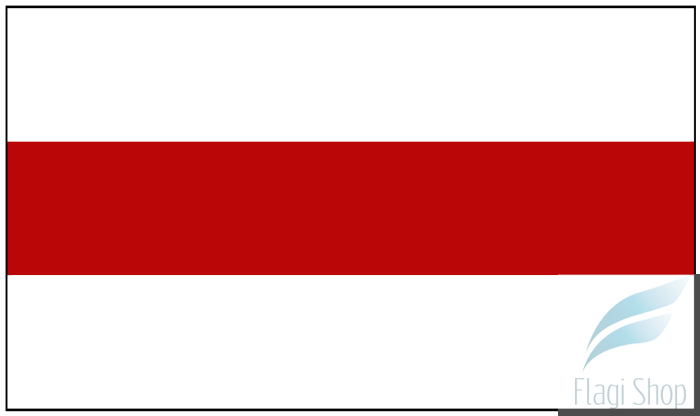 POL_Wyszków_flag.svg.png