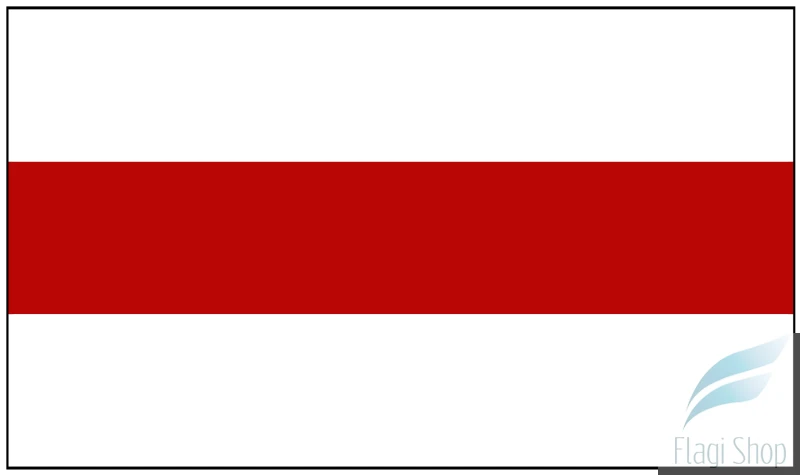 POL_Wyszków_flag.svg.png
